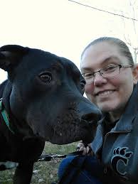 Adoptable dog named Louie needs a home