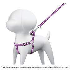 Entre y conozca nuestras increíbles ofertas y promociones. Correa Para Perro Con Pechera 1 5 Cm Ancho Cadenas Y Correas Para Perro 44295