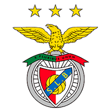 Image result for psd portugal