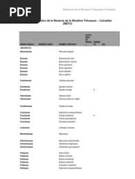 Image result for Buchnera strictissima