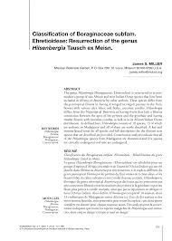 Image result for Hilsenbergia