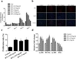 1997, university of california at los angeles b.s. Ifn G Regulates Human Dental Pulp Stem Cells Behavior Via Nf Kb And Mapk Signaling Scientific Reports