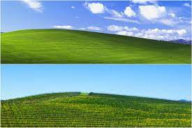 Check spelling or type a new query. I Found The Bay Area Hill In Windows Xp S Iconic Wallpaper