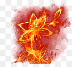 Battle of surabaya fan art cartoon, bunga api png. Bunga Api Yang Unduh Gratis Flame Live Wallpaper Api 3 Warna Wallpaper Kreatif Bunga Api Yang Gambar Png