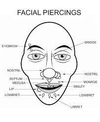 Types Of Facial Piercings Augenbrauenpiercing Septum Piercing Gesichtspiercing