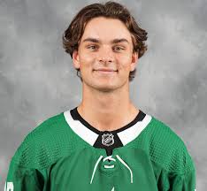 Dallas Stars Headshots