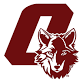 Okemos Wolves vs DeWitt Panthers event image
