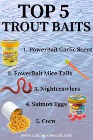Sportsmans.com has been visited by 100k+ users in the past month Top 5 Trout Baits For Lake And Pond Fishing Trout Bait Trout Fishing Salmon Fishing