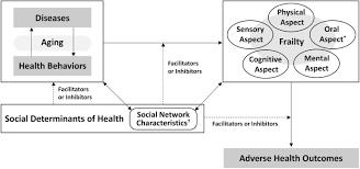 Image result for Frailty