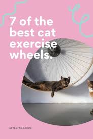 15,879 likes · 163 talking about this. 7 Incredible Indoor Exercise Wheels For Cats Styletails