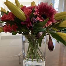 See 502 traveller reviews, 276 candid photos, and great deals for graduate charlottesville, ranked #16 of 40 hotels in charlottesville and rated 4 of 5 at tripadvisor. The Flower Shop 15 Photos 23 Reviews Florists 1700 Monticello Rd Charlottesville Va Phone Number Yelp