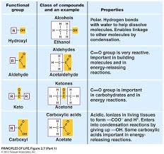 Functional Groups Ap Biology