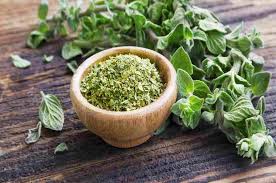 Tanaman berdaun hijau, peppermint mentha spicata extract herb menthol, rempah rempah, makanan. 20 Manfaat Oregano Untuk Kesehatan Dan Kandungan Nutrisinya
