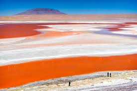 Some people transferred to the chile should you do a bolivian salt flat tour? Atacama Desert Altiplano Urs Zihlmann