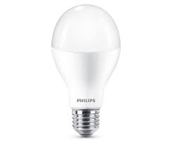 Beautiful decorative led small round bulb string lights. Philips Led Bulb E27 18w Equivalent 120w Cool White Philips By Signify 8718696701638 Buy At A Low Prices On Joom E Commerce Platform
