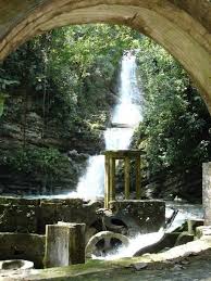 El Paisaje Surreal De Edward James Cultura Colectiva Pozas De Xilitla Xilitla Paisaje Mexico