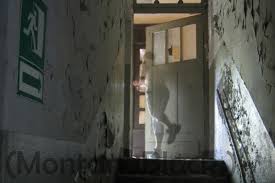 Neue Route Nach Montanablack Wird Berechnet Streamer Zieht Um Check App