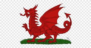 Ce vendeur de drapeau pays de galles dont la société est kza distribution ayant pour activité principale vente fait parti des vendeurs importants et mérite 16 sur 20 selon les acheteurs. Drapeau Du Pays De Galles Welsh Dragon King Arthur Dragon Dragon Poulet Png Pngegg