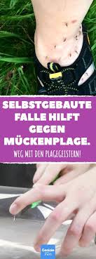 Selbstgebaute Falle Hilft Gegen Muckenplage Muckenfalle Falle Mucken Muckenmittel Muckenex Selbstgemacht Inse Muckenfalle Was Hilft Gegen Mucken Mucken