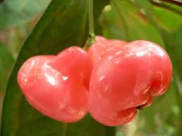 Pin On Fruits