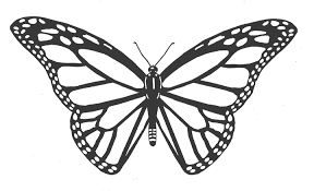 Just painting completely out of order again. Sk H 3d Butterfly Drawing Black And White Novocom Top