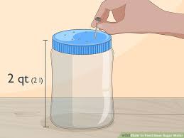 How To Feed Bees Sugar Water 13 Steps With Pictures Wikihow