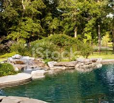 Piscine Tropicale Avec Chute D Eau De Photos Freeimages Com