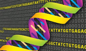 A dna computer is a molecular computer that works biochemically. Power Of Dna To Store Information Gets An Upgrade Department Of Computer Science
