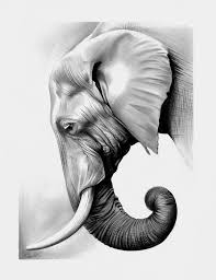 Elefant In Graphit Von Spectrum Vii Zeichnen Elefant Graphit Spectrumvii Von Zeichnen Tatouage Elephant Realiste Dessin Elephant Croquis Animaux