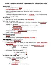 Label the bases in the diagram on the right 12. Dna Dna Replication Notes Key Chapter 8 From Dna To Proteins U2013 Structure Of Dna And Dna Replication What Is Dna U2022 Your U201cgenetic U201d Course Hero