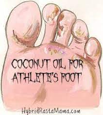 Pin On Things I Like