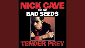 Edenbrothers.com has been visited by 10k+ users in the past month Nick Cave The Bad Seeds Cabin Fever From Her To Eternity 1984 Youtube