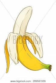 Maybe you would like to learn more about one of these? Half Peeled Banana Vector Photo Free Trial Bigstock