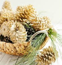 Pin Von Petraja Auf Weihnachten Tannenzapfen Tannenzapfen Dekor Diy Weihnachten