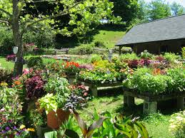 One Of My Favorite Places Maple Bank Farm In Roxbury Ct 3 Places To Go Favorite Places Places