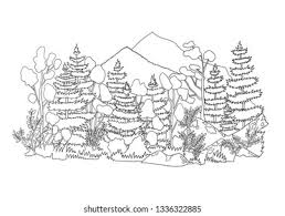 Taiga biome coloring page pages template. Graphic Illustration Boreal Forest Hand Drawn Stock Vector Royalty Free 1336322885