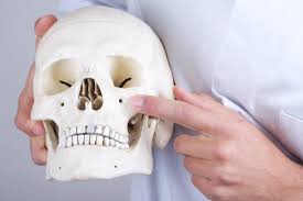 Franceschetti syndrome is an autosomal dominant disorder of craniofacial development with variable expressivity. Treacher Collins Syndrome Causes Symptoms And Treatment
