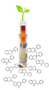 Image result for Kotschya strigosa