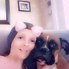 Who can I contact for ready to lay hens in Newfoundland?