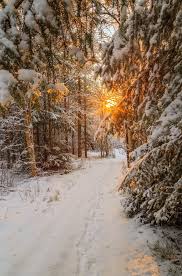 Last Sun On A Winter Path Sweden By Geert Weggen On 500px Winterlandscape Winter Scenery Winter Landscape Winter Pictures