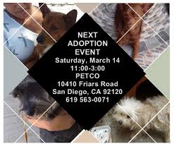 Find opening hours and closing hours from the pet adoption category in san diego, ca and other contact details such as address, phone number, website. Upcoming Adoption Event Friends Of Humane Services Tijuana