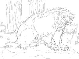 Select from 35919 printable crafts of cartoons, nature, animals, bible and many more. Wolverine Coloring Pages To Download And Print For Free