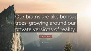 Read more quotes from muhammad yunus. Sloane Crosley Quote Our Brains Are Like Bonsai Trees Growing Around Our Private Versions Of Reality