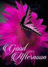 Pin By Cheryl On Pizapp Good Afternoon Quotes Afternoon Quotes Good Morning Flowers