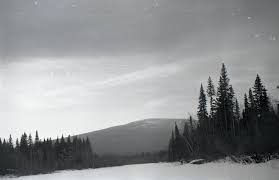 And i have to agree. Dyatlov Pass Incident Stampsy