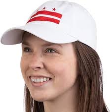 Buy Washington DC Flag