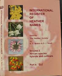 Image result for Struthiola scaettae