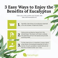 Make sure to apply liberally to create as much smell as possible. 5 Eucalyptus Essential Oil Benefits Dr Pingel