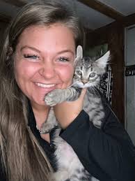 🐾✨ Kittens Looking for Their Furever Homes! ✨🐾 These sweet little  furballs are ready to find their purrfect families! 💕 They're full of  personality — playful, cuddly, and guaranteed to steal your