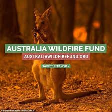 Leonardo Dicaprio Launches A 3million Australia Wildfire Fund In 2020 Leonardo Dicaprio Wildlife Conservation Leonardo